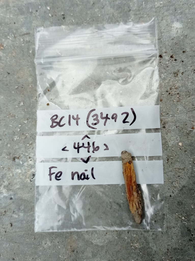 A small orangey nail missing its head sits on a labelled finds bag. The rust has striations like a grain of wood.